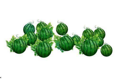 阿轩吃瓜,揭秘娱乐圈幕后故事