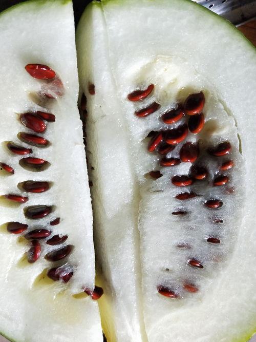 吃瓜先吃皮拆快递