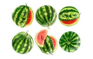 吃瓜极限反超,极限反超，谁与争锋？