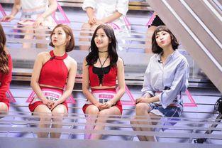 sss女团 吃瓜视频,吃瓜视频背后的真相与争议