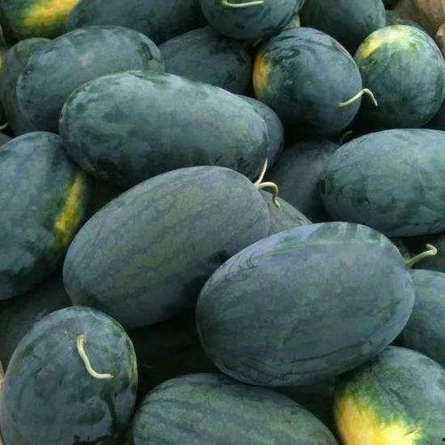 什么瓜能不停吃的,揭秘那些让人欲罢不能的美食诱惑