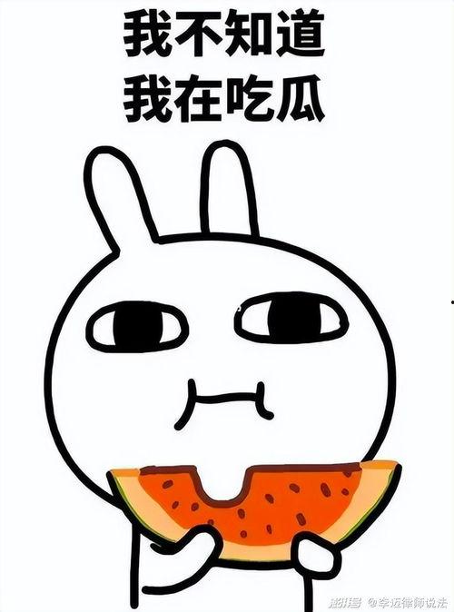 吃瓜咬咬乐,揭秘网红零食的甜蜜诱惑