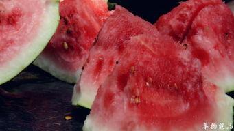 纳凉吃瓜喝茶好吗,吃瓜喝茶，悠然自得的生活享受