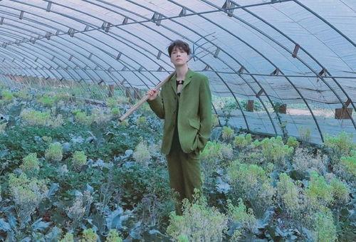 吃瓜文章封面图片,封面图片背后的故事