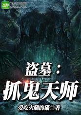 吃瓜抓鬼盗墓小说,吃瓜群众抓鬼盗墓传奇