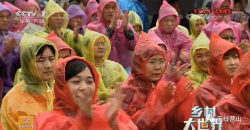 吃瓜大世界视频