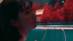 吃瓜少女刘大妈,揭秘娱乐圈那些事儿